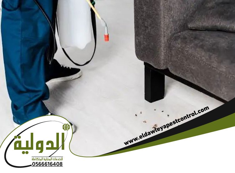 شركة مكافحة حشرات حي الشراع 25 خدمات المملكة