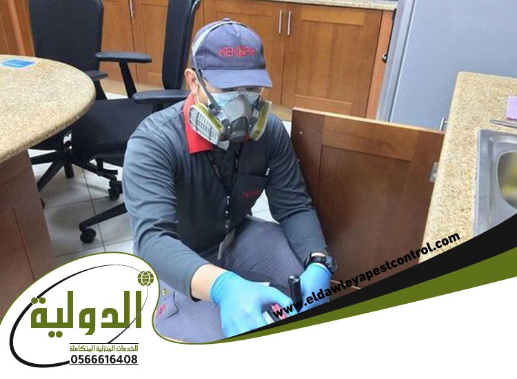 شركة مكافحة حشرات حي المحمدية