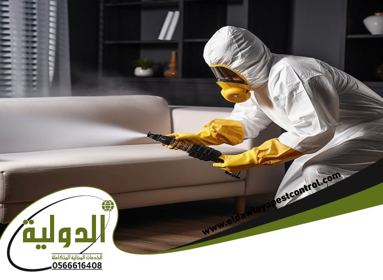شركة مكافحة حشرات حي المرجان