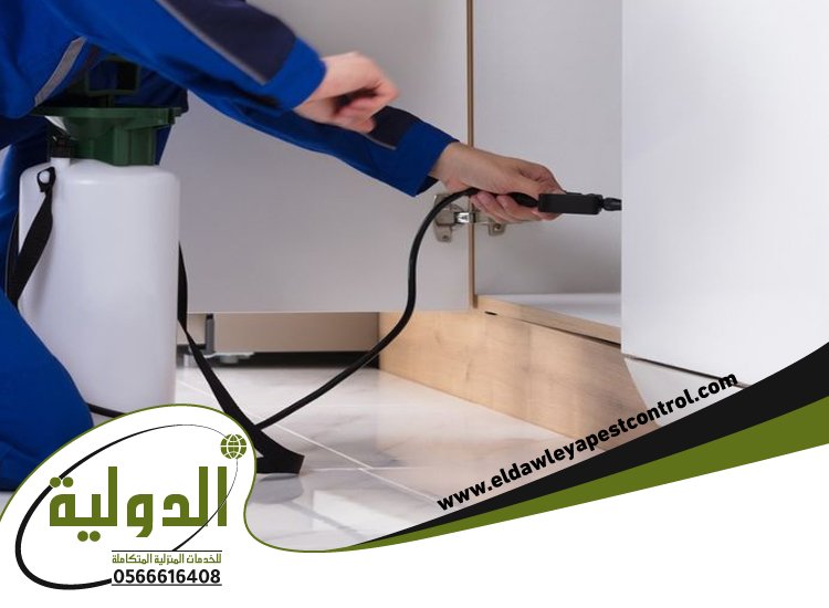 شركة مكافحة حشرات حي المرجان
