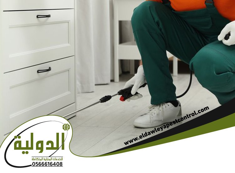 شركة مكافحة حشرات حي المرجان