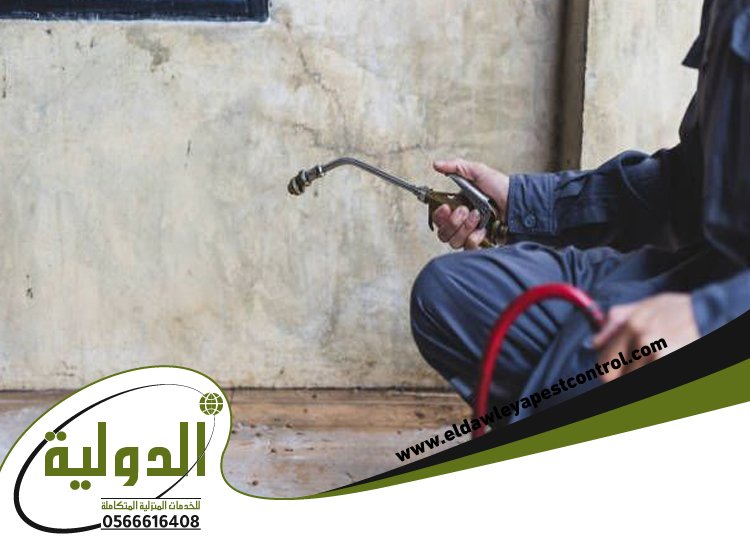 شركة مكافحة حشرات حي الشفا 4 شركة مكافحة حشرات حي الشفا