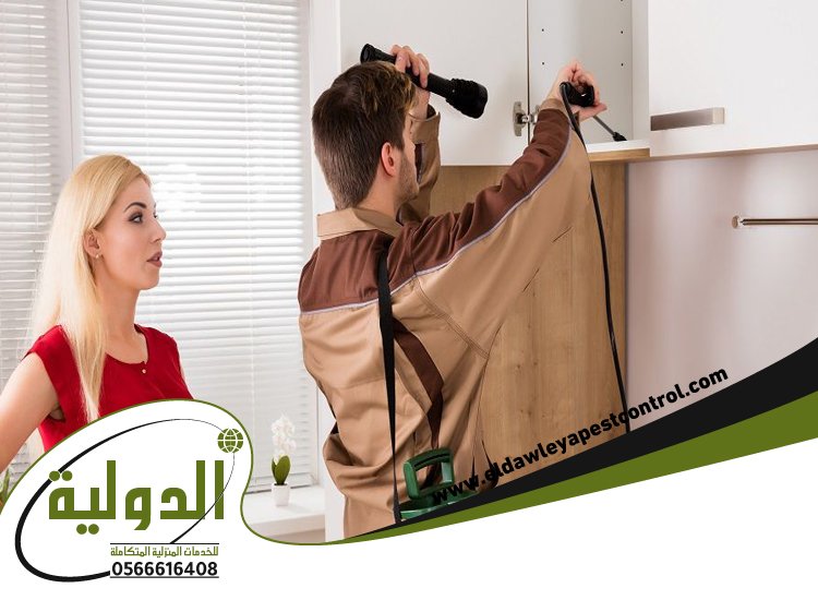 شركة مكافحة حشرات حي الصفا 3 شركة مكافحة حشرات حي الصفا