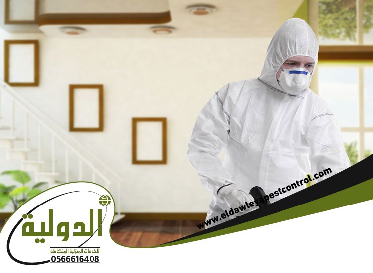 شركة مكافحة حشرات حي الصفا 5 شركة مكافحة حشرات حي الصفا