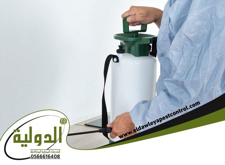 شركة مكافحة الخفافيش بالليث 4 شركة مكافحة الخفافيش بالليث