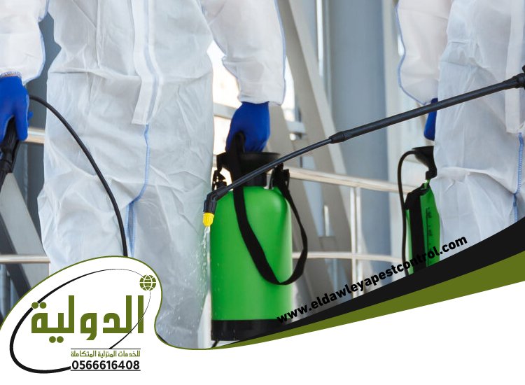 شركة مكافحة الخفافيش بالليث 3 شركة مكافحة الخفافيش بالليث