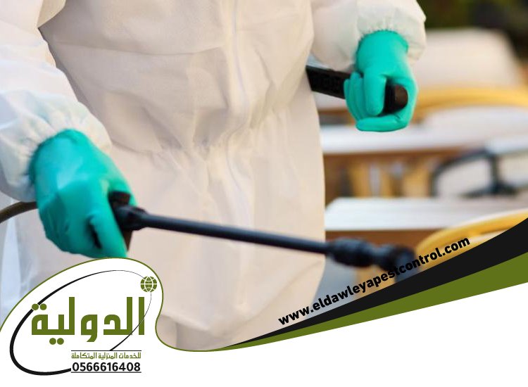 شركة مكافحة الخفافيش بعسفان 5 شركة مكافحة الخفافيش بعسفان