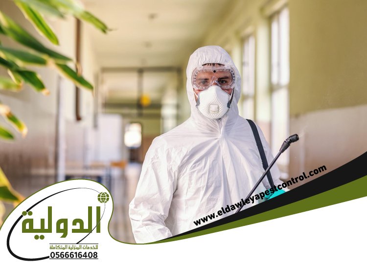 شركة مكافحة الخفافيش بعسفان 4 شركة مكافحة الخفافيش بعسفان