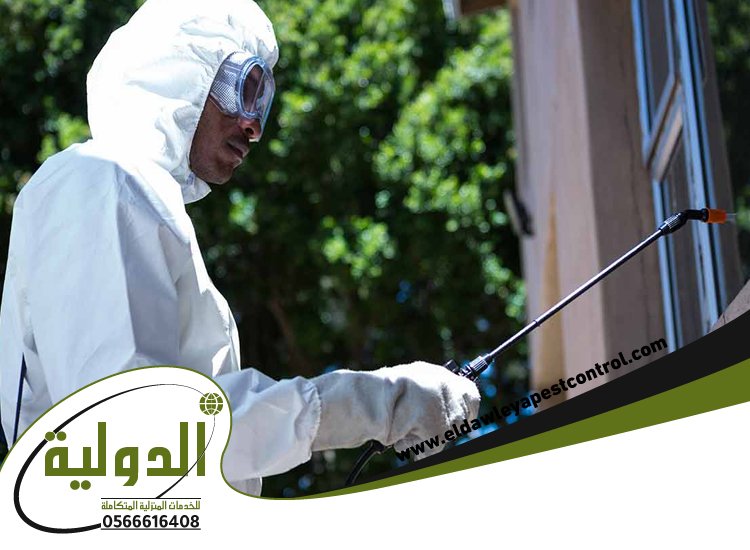 شركة مكافحة الخفافيش بالجموم 4 شركة مكافحة الخفافيش بالجموم
