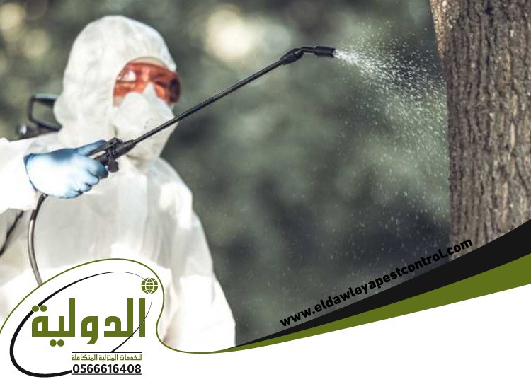شركة مكافحة الخفافيش بمكة 5 شركة مكافحة الخفافيش بمكة