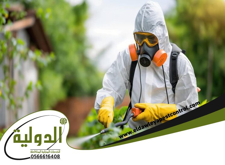 شركة مكافحة الخفافيش بمكة 4 شركة مكافحة الخفافيش بمكة