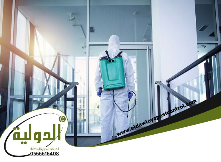 شركة مكافحة الخفافيش بالجموم 3 شركة مكافحة الخفافيش بالجموم