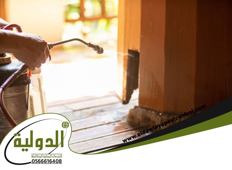 شركة مكافحة الخفافيش بخليص 5 شركة مكافحة الخفافيش بخليص
