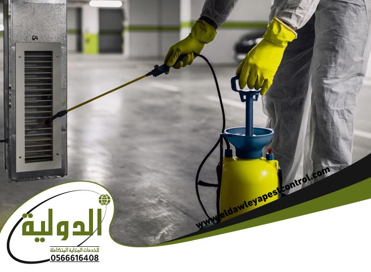 شركة مكافحة الخفافيش بخليص 4 شركة مكافحة الخفافيش بخليص