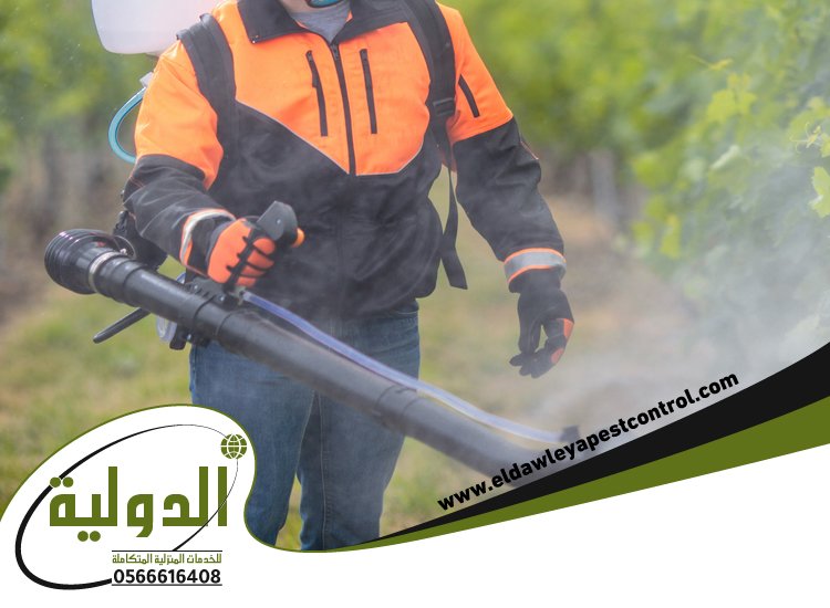 شركة مكافحة الخفافيش بخليص 3 شركة مكافحة الخفافيش بخليص