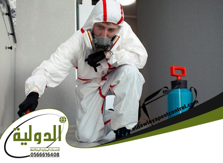 شركه رش بق بجدة 4 شركه رش بق بجدة