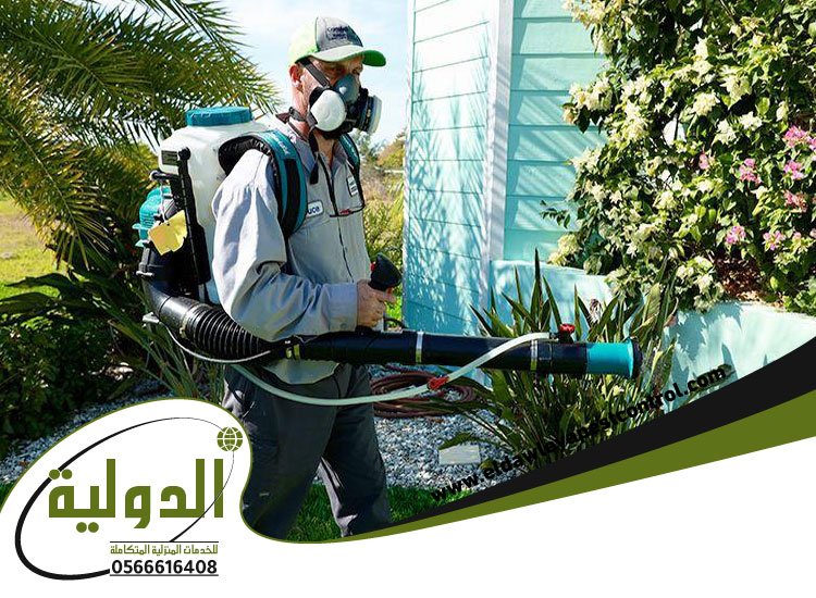 شركة مكافحة البعوض بجدة 3 شركة مكافحة البعوض