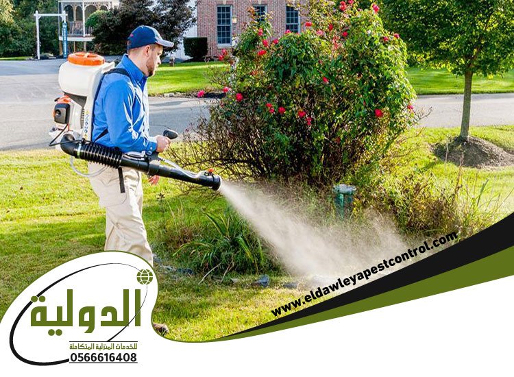 شركة مكافحة البعوض بجدة 5 شركة مكافحة البعوض