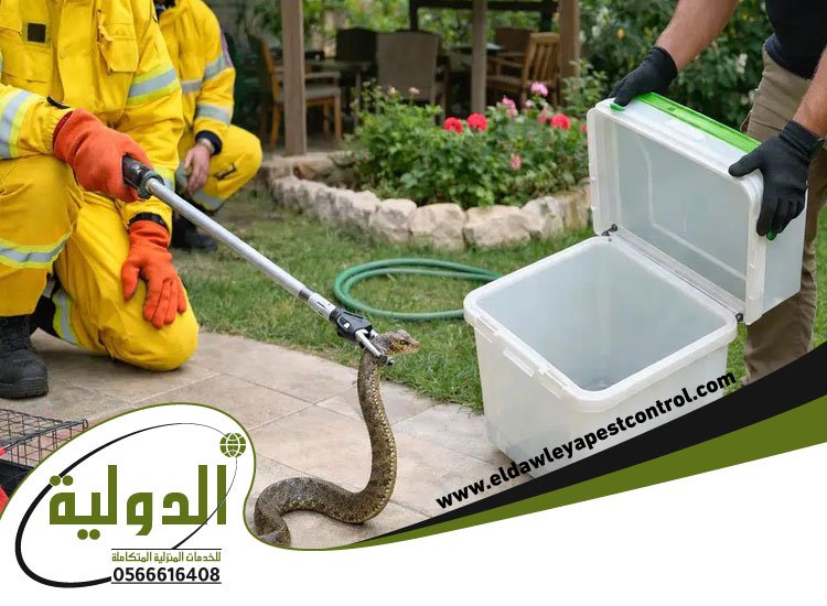 شركة مكافحة الثعابين بجدة 4 شركة مكافحة الثعابين بجدة