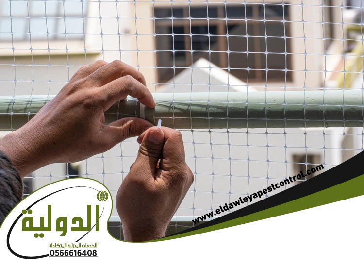 شركة مكافحة الحمام بجدة 3 شركة مكافحة الحمام
