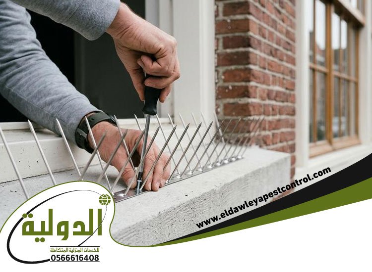 شركة مكافحة الحمام بجدة 4 شركة مكافحة الحمام