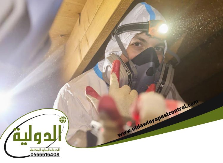 شركة مكافحة الخفافيش بجدة 4 شركة مكافحة الخفافيش