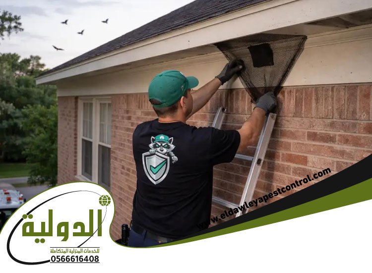 شركة مكافحة الخفافيش بجدة 3 شركة مكافحة الخفافيش