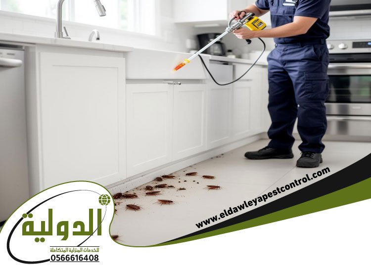 شركة مكافحة الصراصير بجدة 4 شركة مكافحة الصراصير بجدة