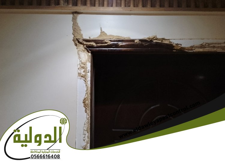 شركة مكافحة العتة بجدة 4 شركة مكافحة العتة بجدة