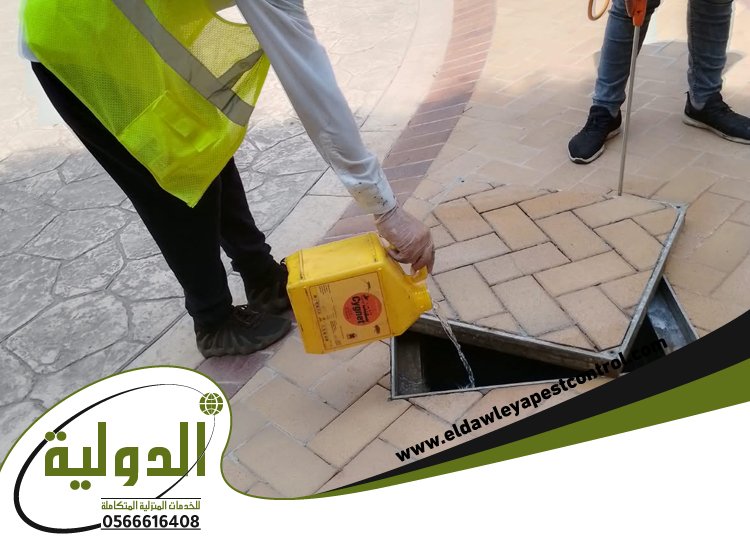 شركة مكافحة الصراصير بجدة 5 مكافحة الصراصير بجدة