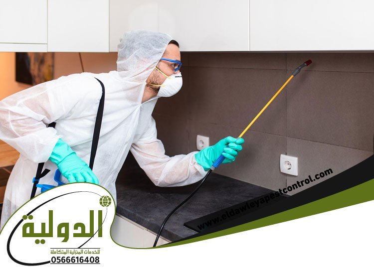 افضل شركة رش مبيدات بجدة 4 افضل شركة رش مبيدات بجدة