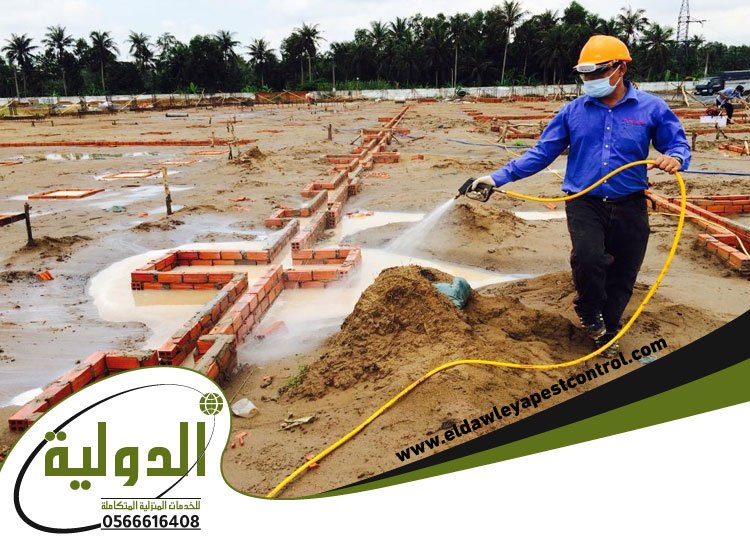 شركة مكافحة الأرضة بجدة 3 شركة مكافحة الأرضة