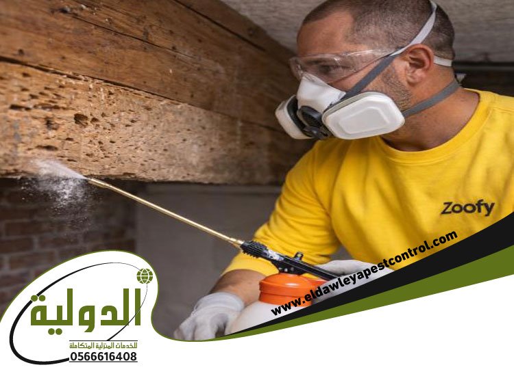 شركة مكافحة السوس بجدة 3 شركة مكافحة السوس