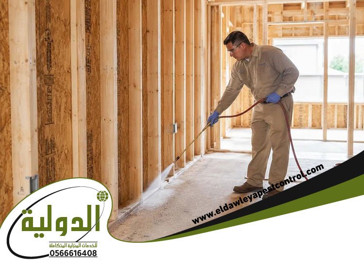 شركة مكافحة النمل الأبيض بجدة 3 شركة مكافحة النمل الأبيض بجدة