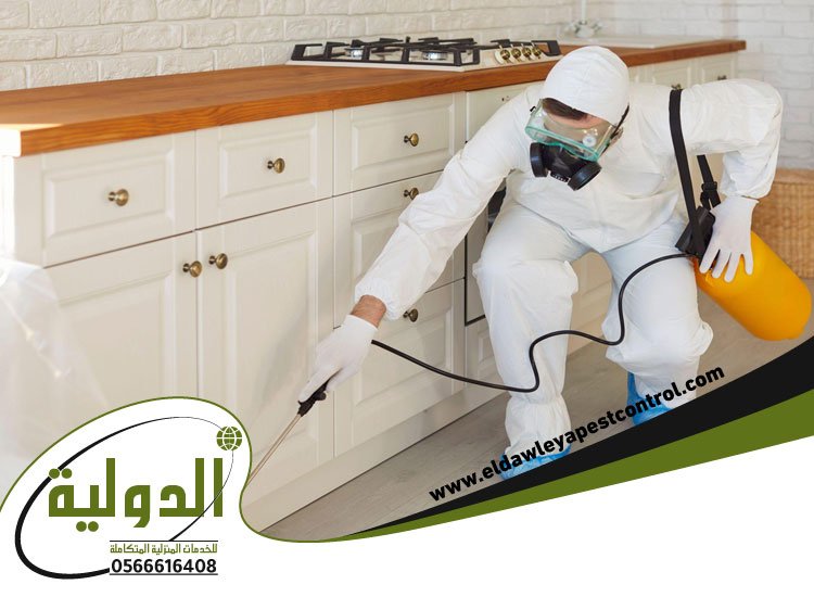 شركة مكافحة النمل الابيض بمكة 4 شركة مكافحة النمل الابيض بمكة