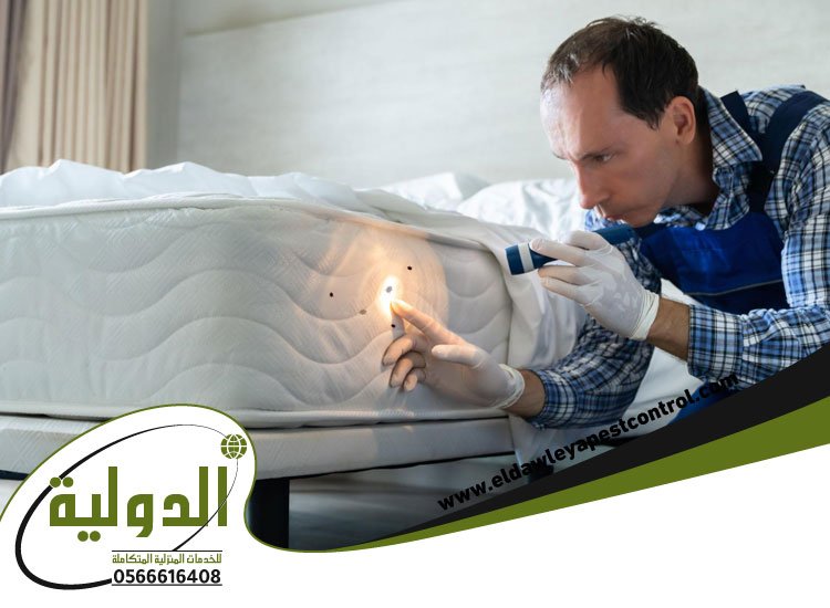 شركة مكافحة بق الفراش بجدة 4 شركة مكافحة بق الفراش