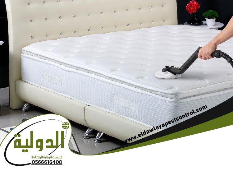 شركة مكافحة بق الفراش بجدة 3 شركة مكافحة بق الفراش