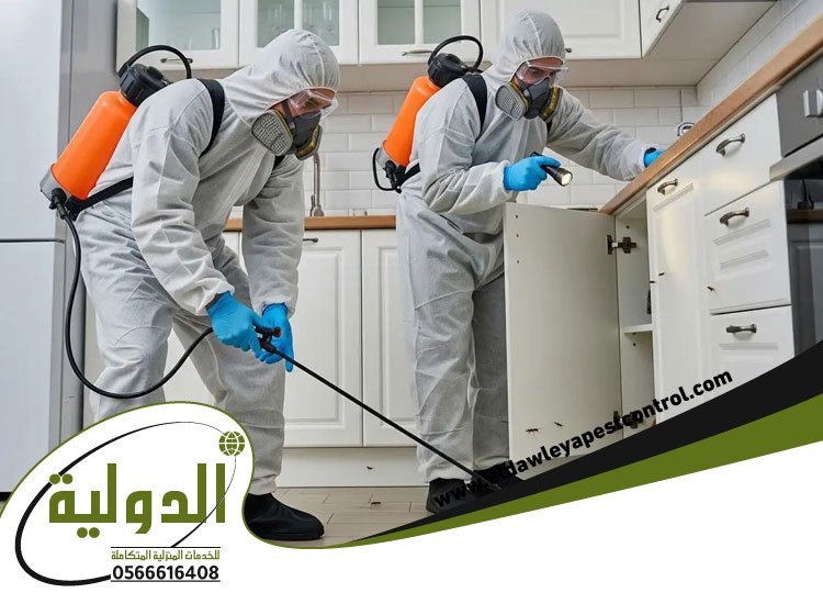 شركة مكافحة حشرات بالطائف 3 شركة مكافحة حشرات
